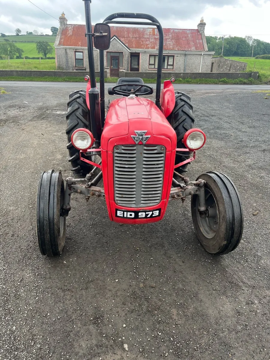 Massey Ferguson - Image 2