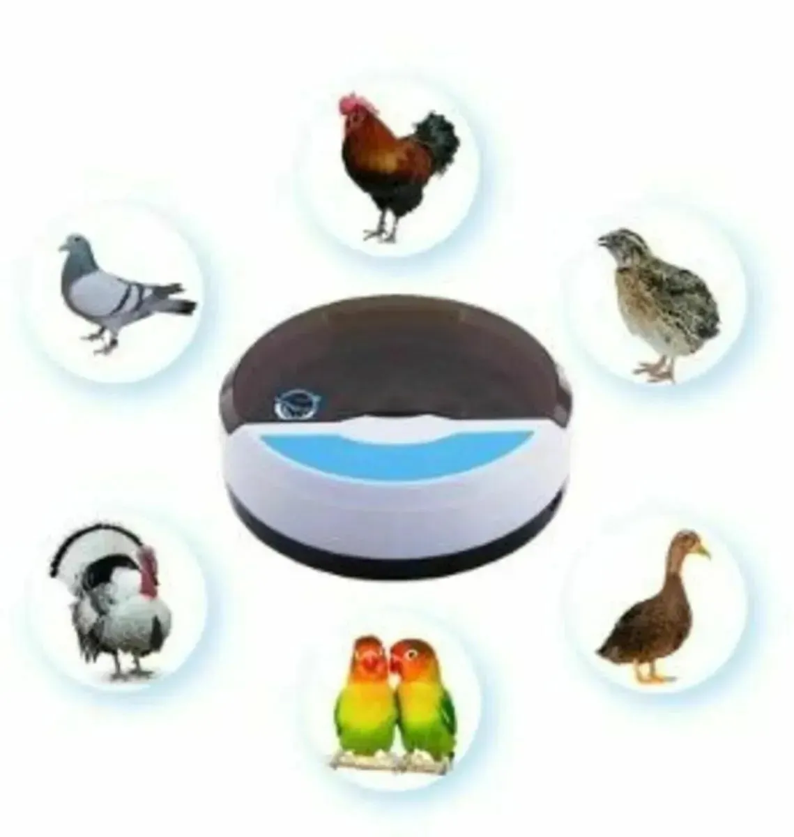 Automatic Egg Incubator 9 eggs + 4 bird - Image 2