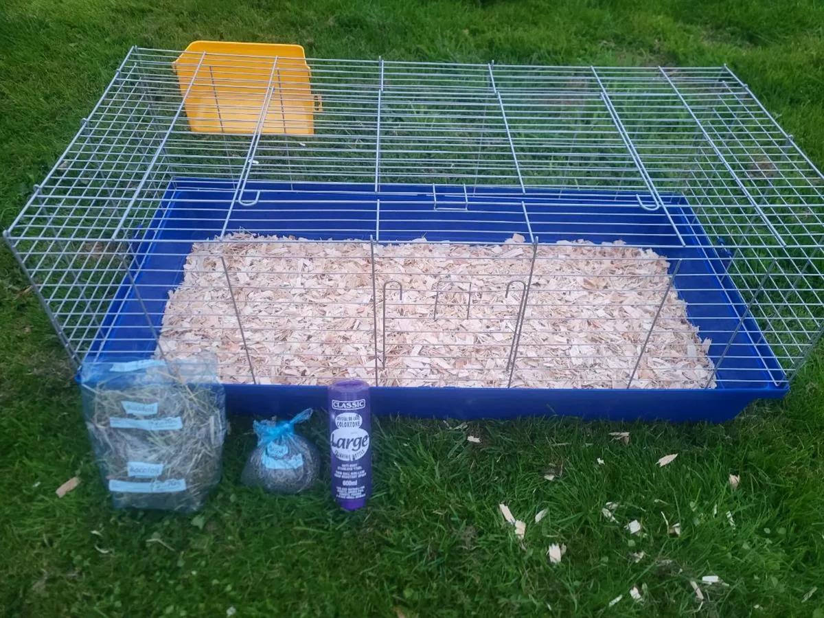 Rabbit Starter packs - Image 1