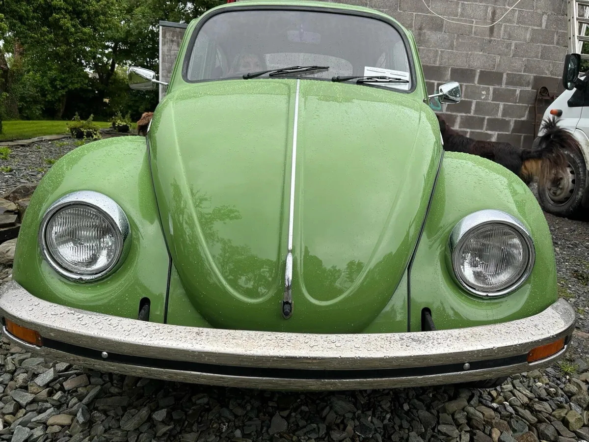 77 Beetle - Image 1