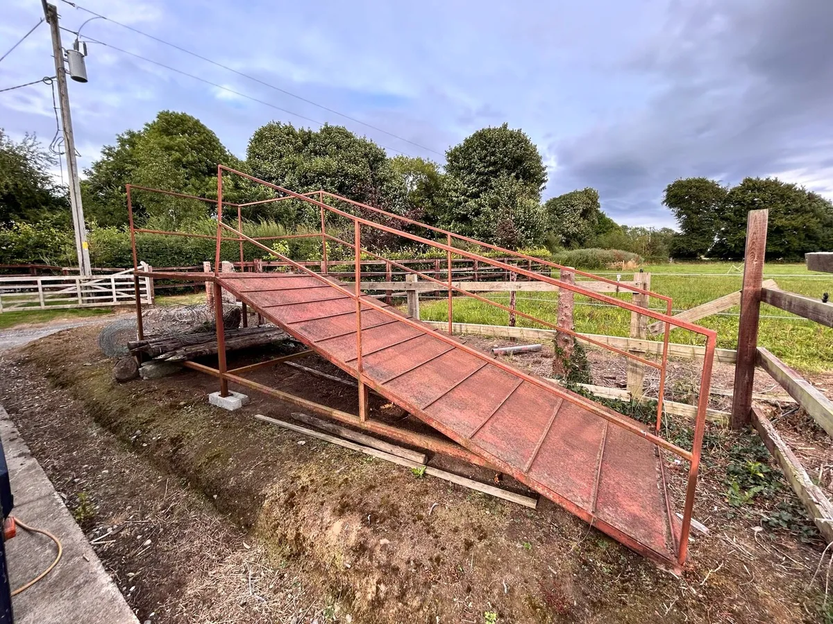Large skip ramp - Image 1