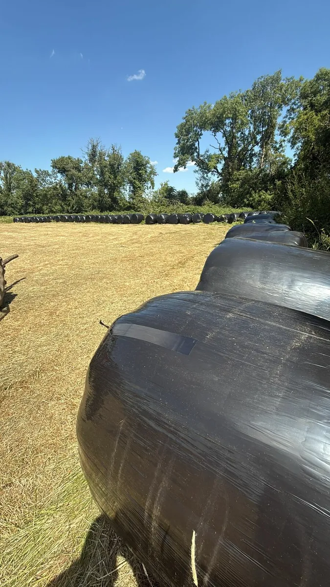 Silage/Haylage - Image 1