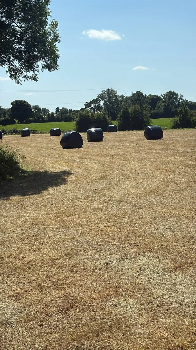 Silage/Haylage - Image 2