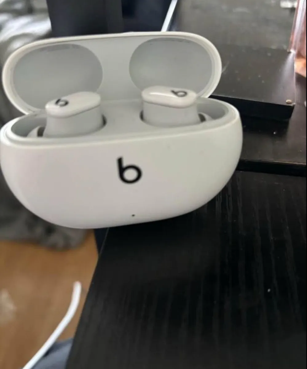 Beats ear buds - Image 1