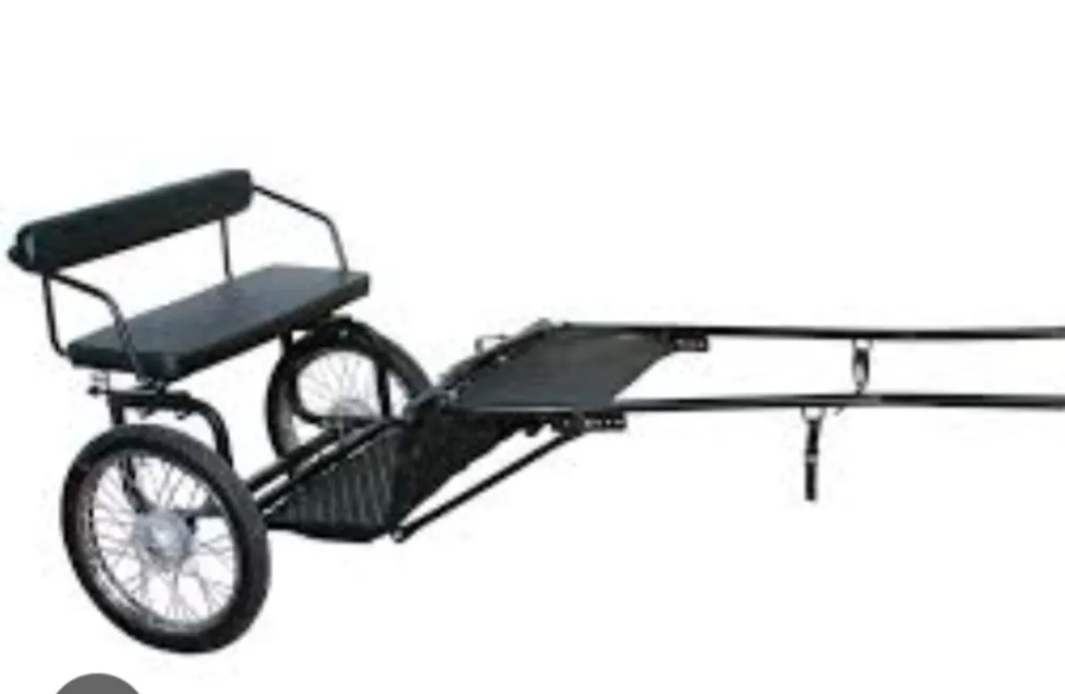 Pony cart wanted in any condition