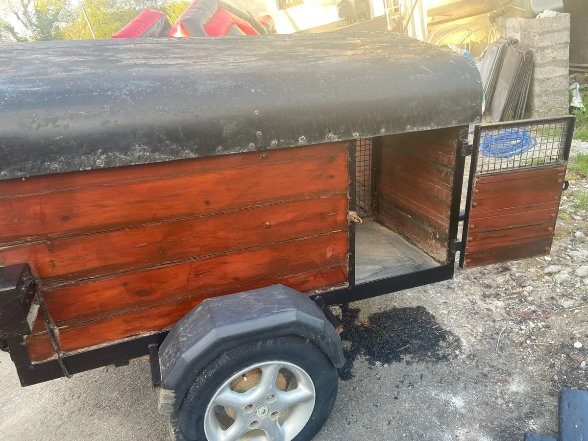 Dog box - Image 3
