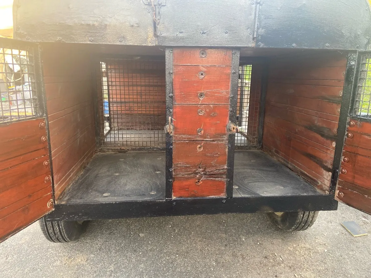 Dog box - Image 4