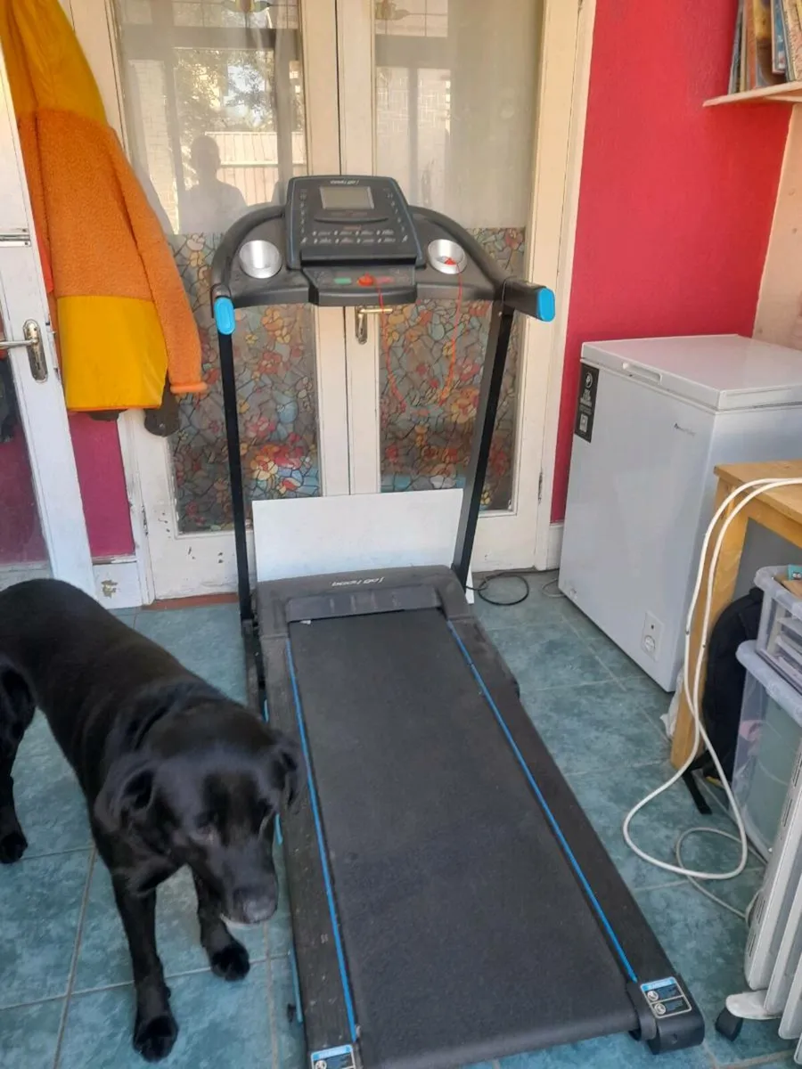 Treadmill - Image 1
