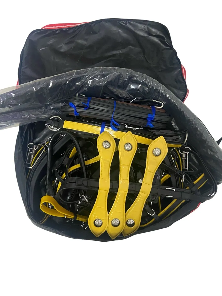 Horse harness - Image 1