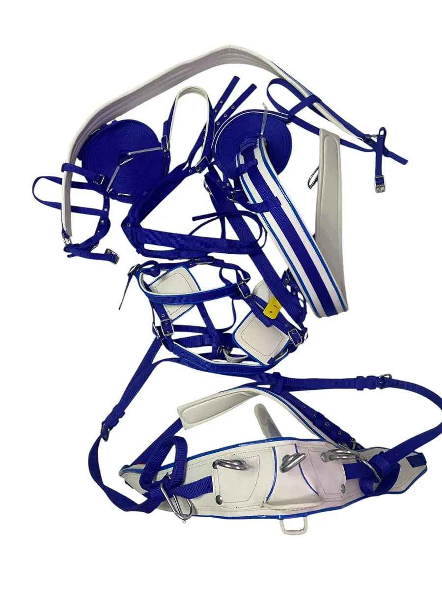 Horse harness - Image 1