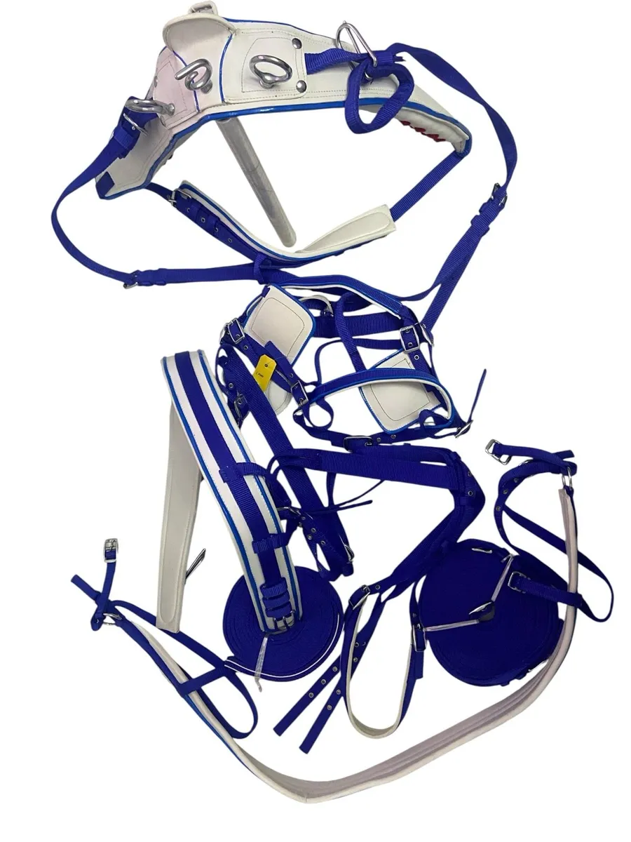 Horse harness - Image 2
