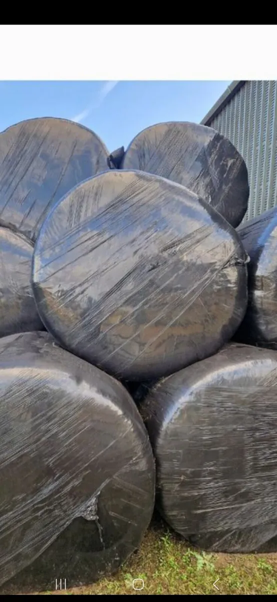 Haylage for sale - Image 1