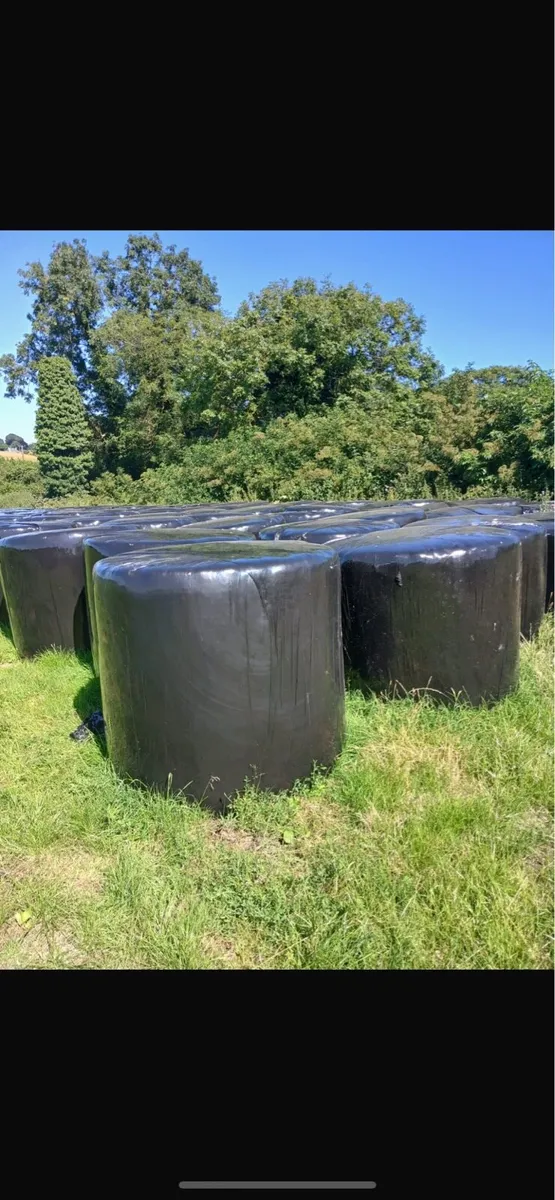 Silage bales - Image 1