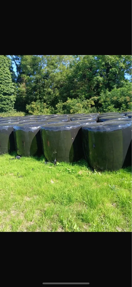 Silage bales - Image 2