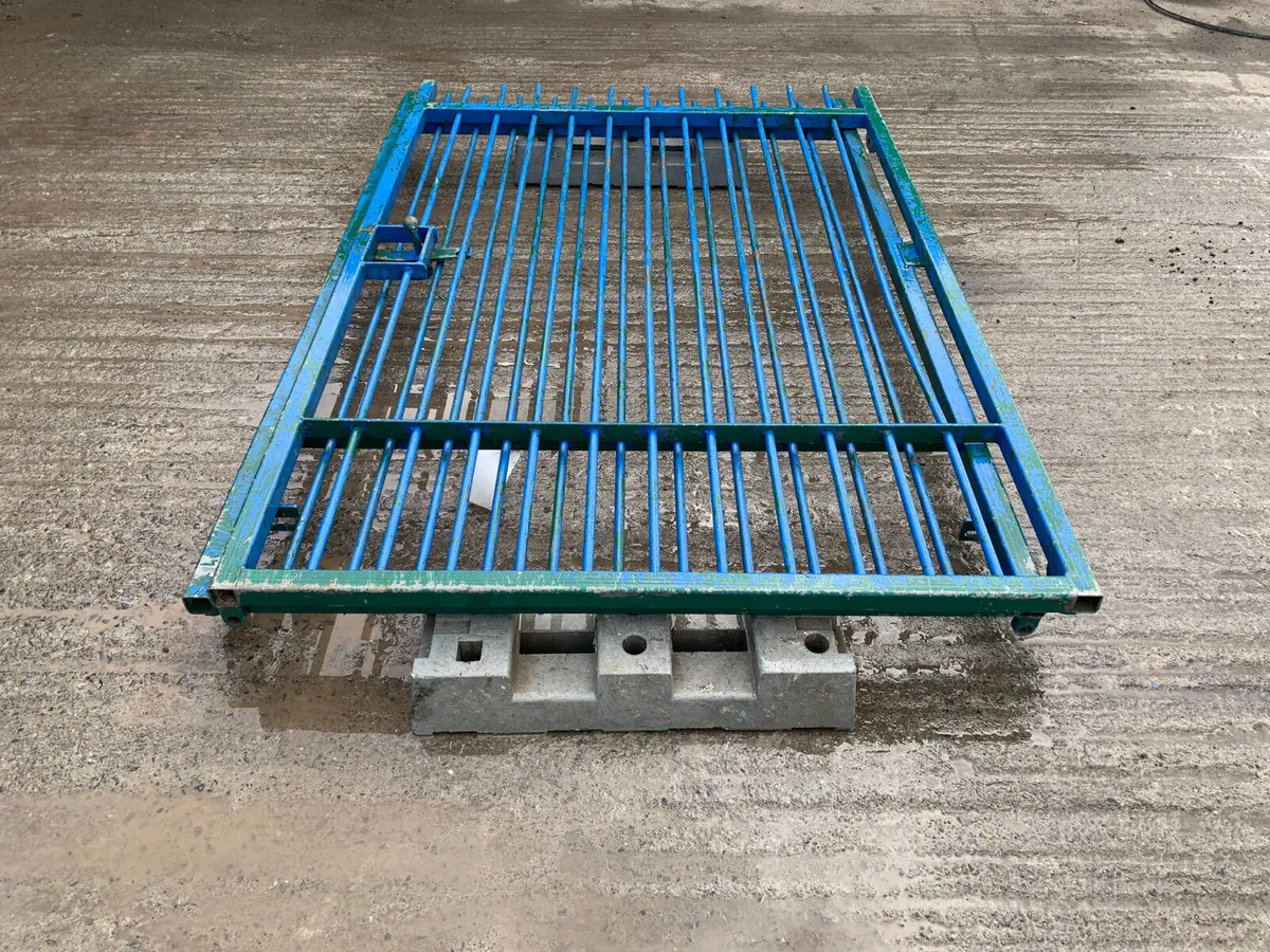 10 ft x 8 ft iron gates - Image 1