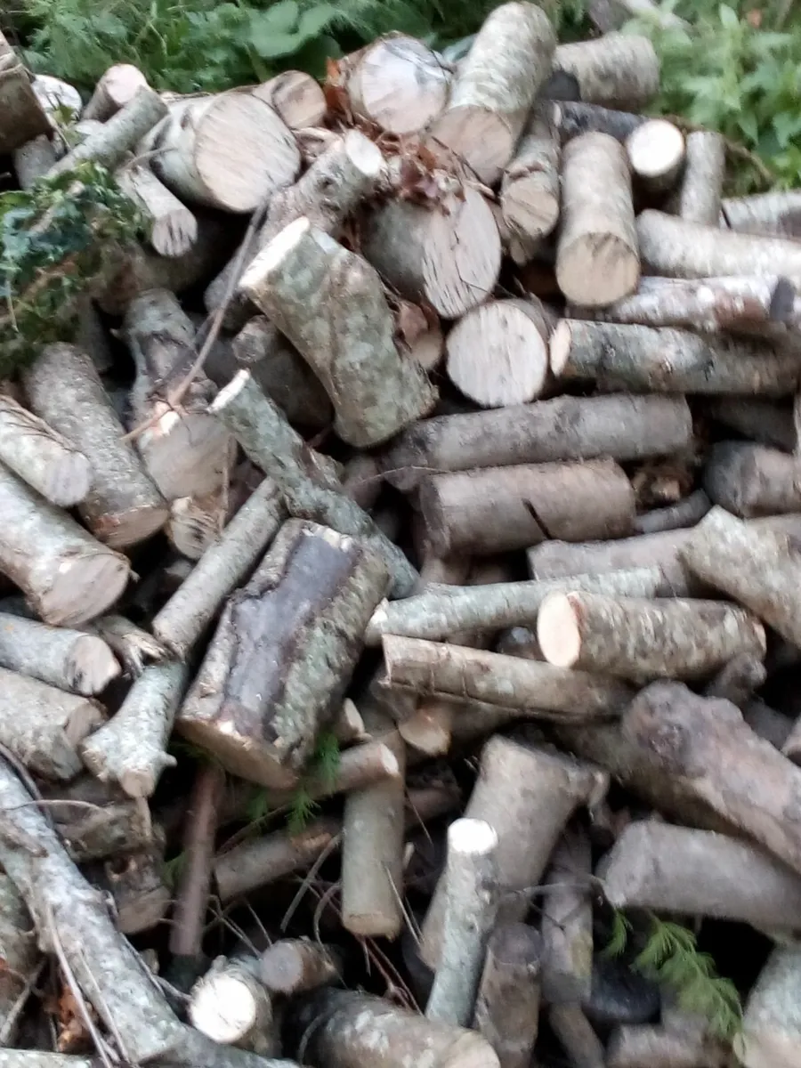 firewoods - Image 1