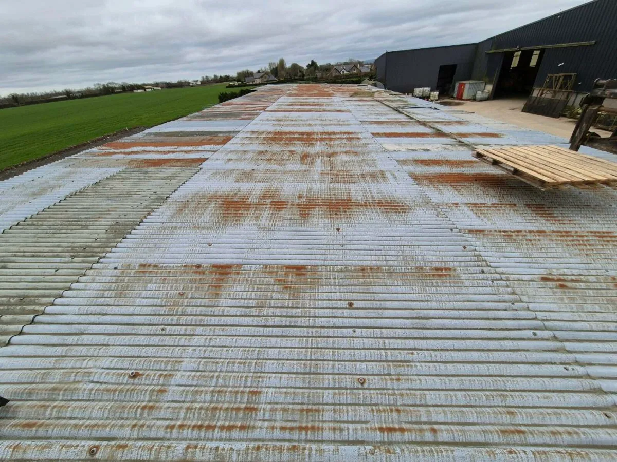 Shed - Image 2
