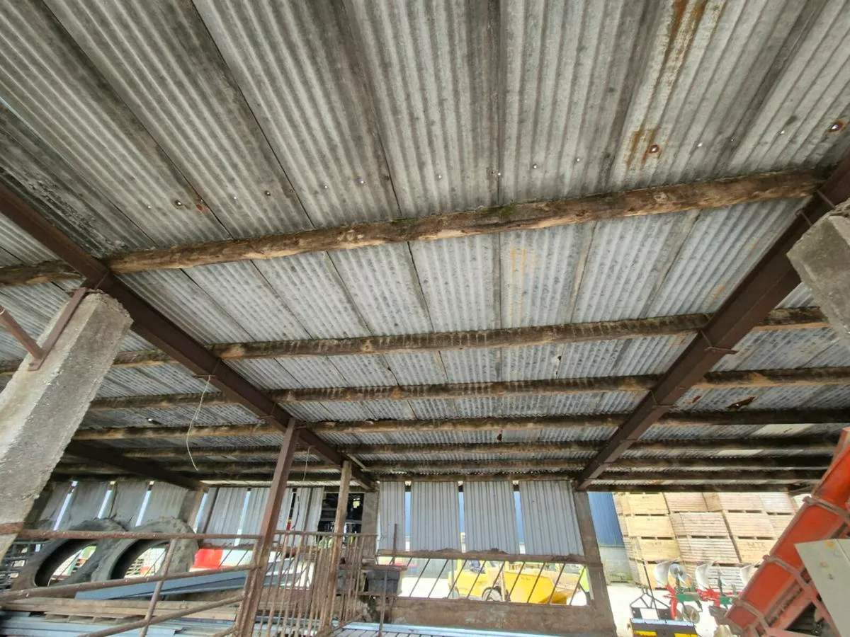 Shed - Image 4