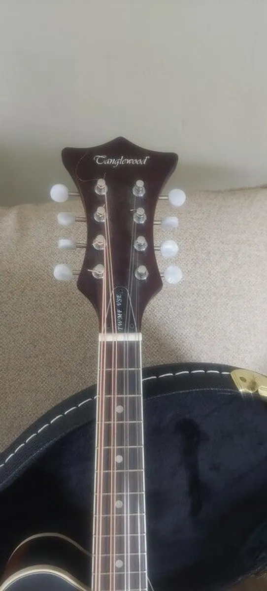 Mandolin Tanglewood - Image 2