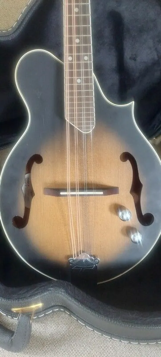 Mandolin Tanglewood - Image 3