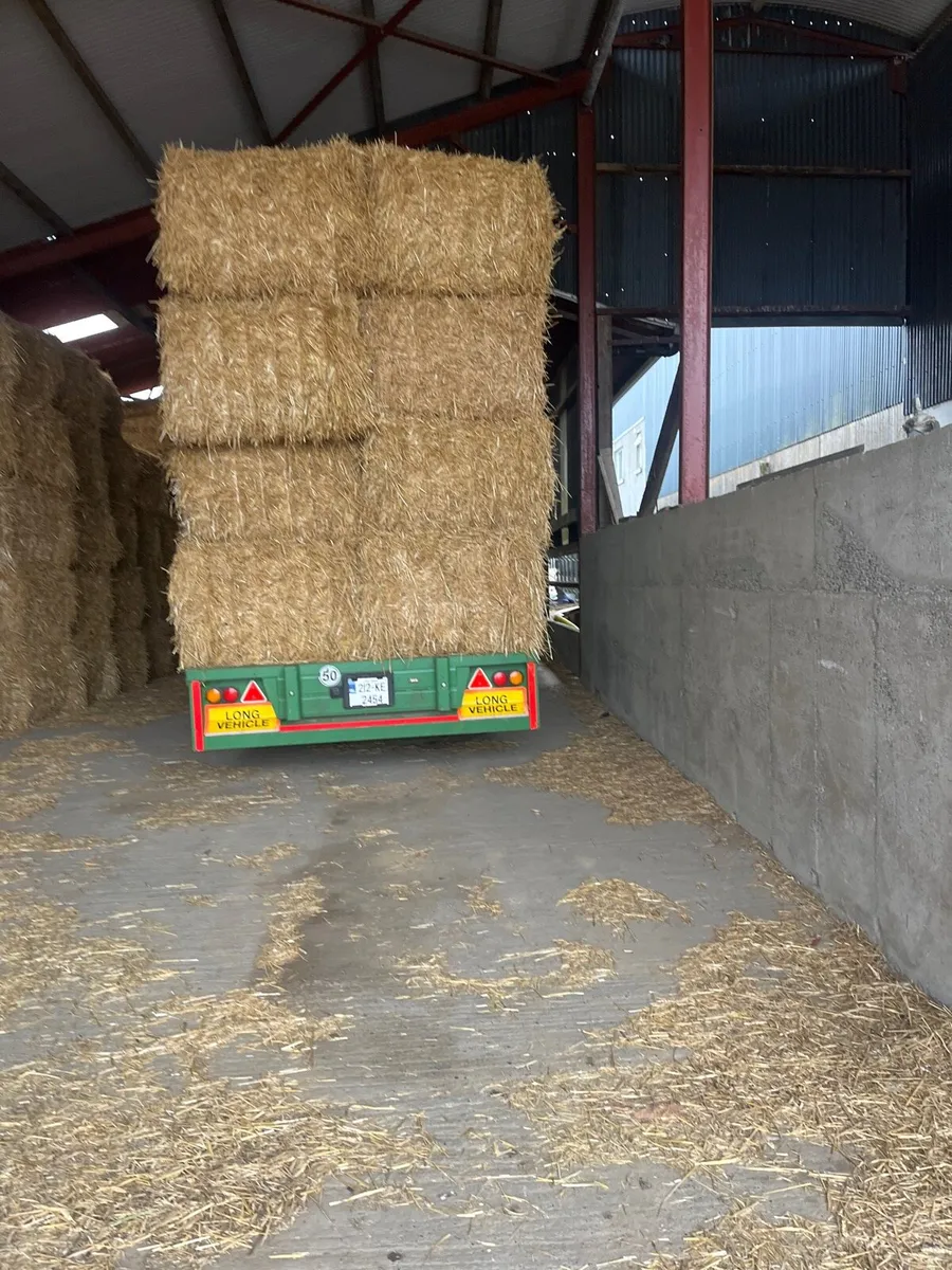 Straw - Image 1
