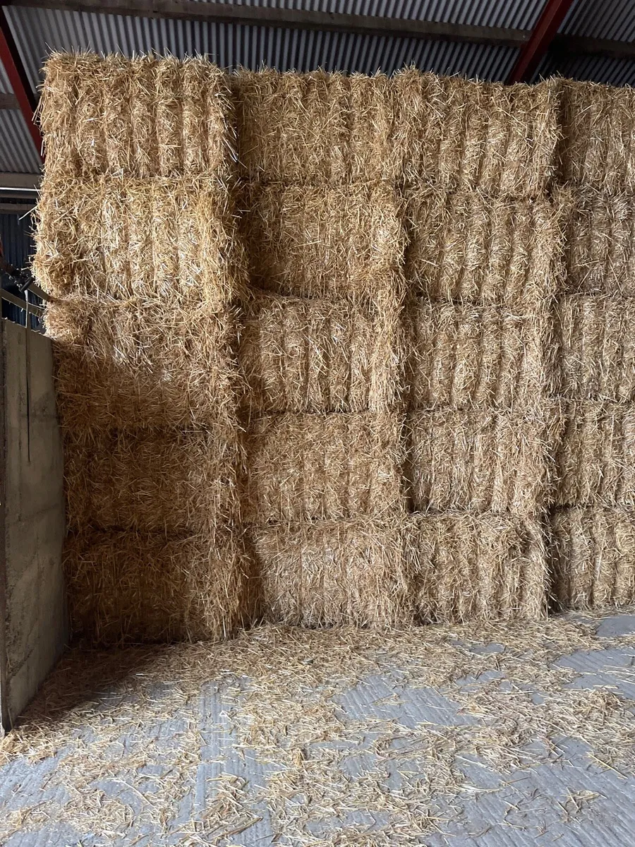 Straw - Image 2
