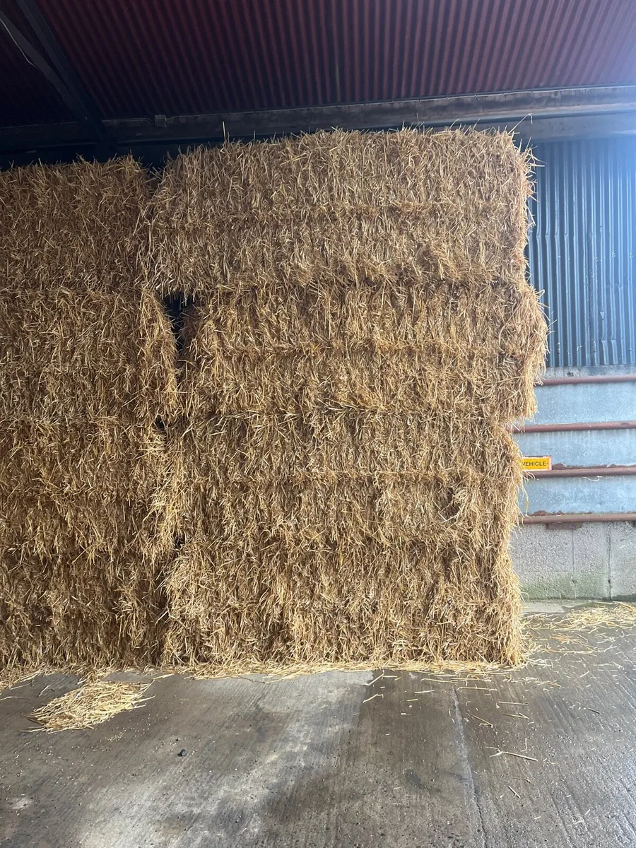 Straw - Image 3