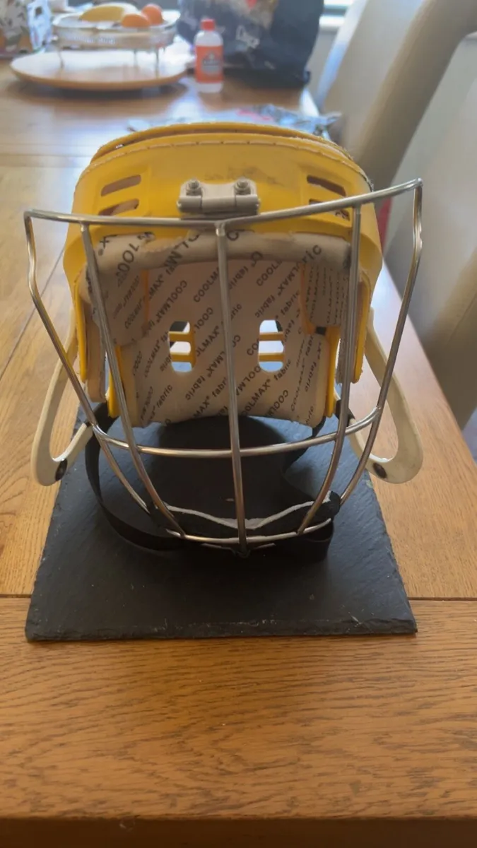 Kilkenny Faceguard - Image 1