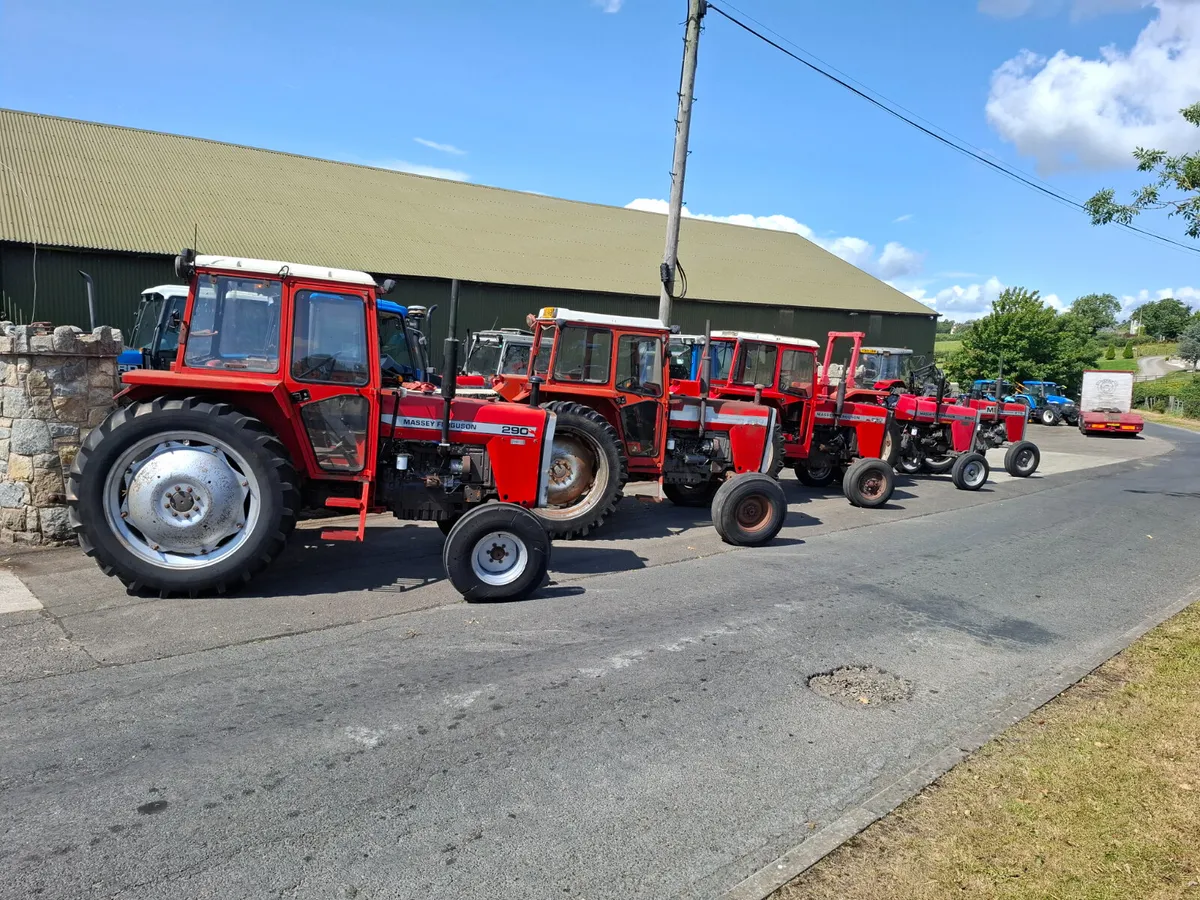 Massey Ferguson 290 - Image 1