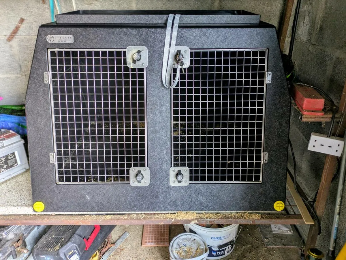 DT Dog Box