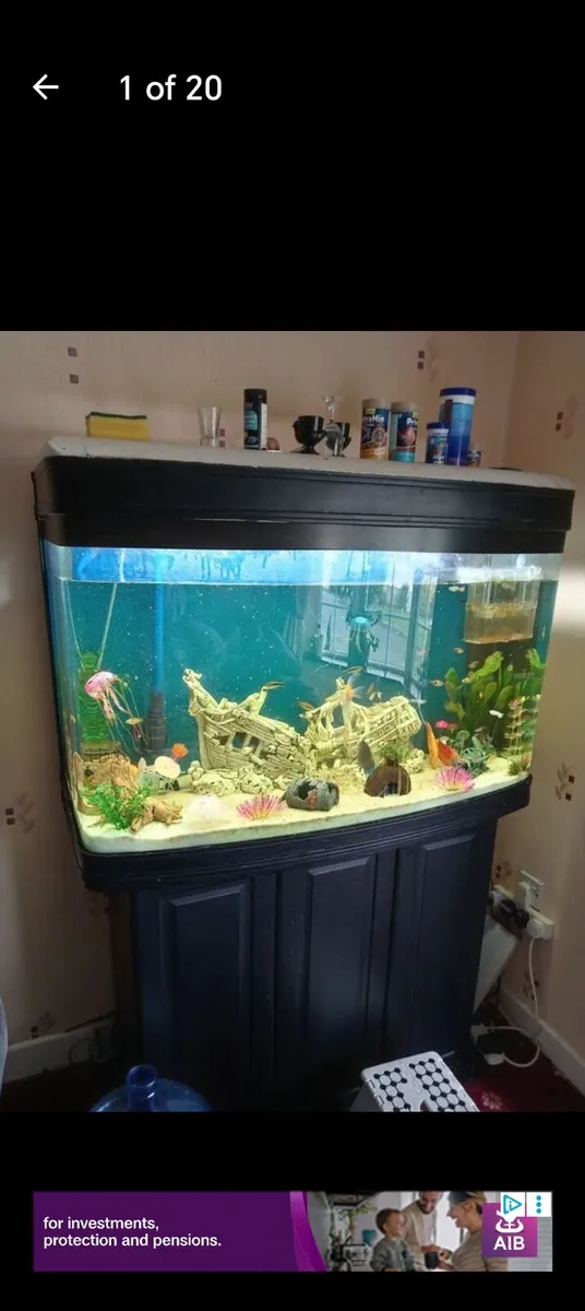 Fish tank - Image 1