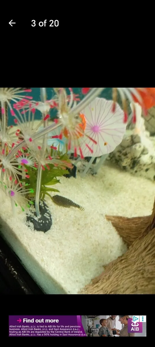 Fish tank - Image 2