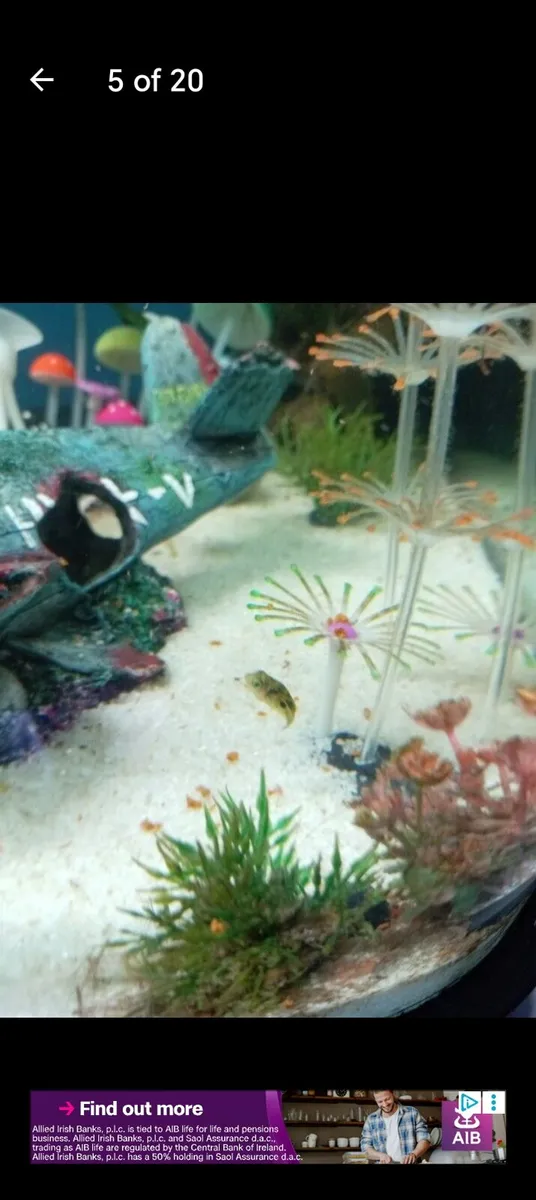 Fish tank - Image 4