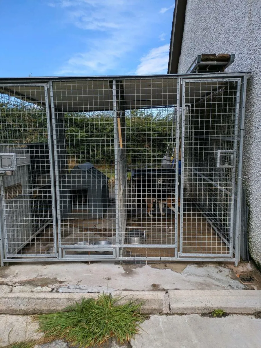 Dog Kennel - Image 1