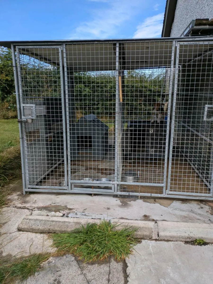 Dog Kennel - Image 2