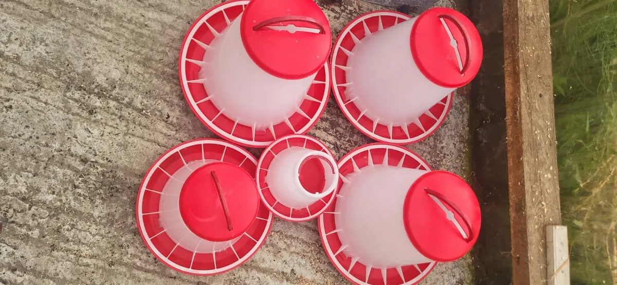 Chicken feeders/drinkers - Image 1