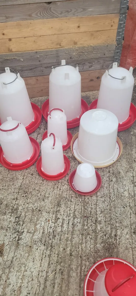 Chicken feeders/drinkers - Image 2