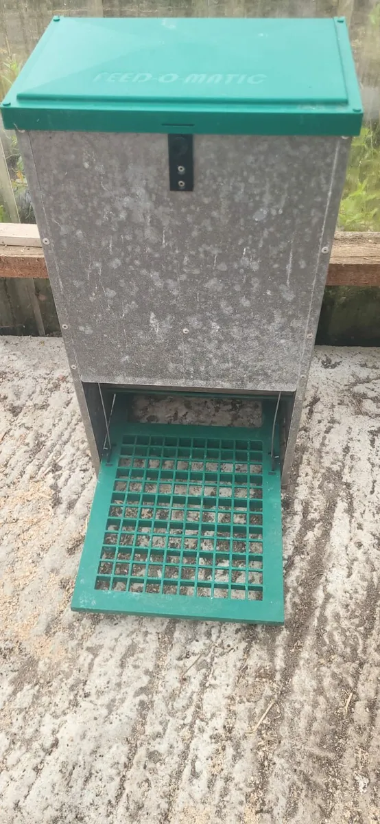Chicken feeders/drinkers - Image 4