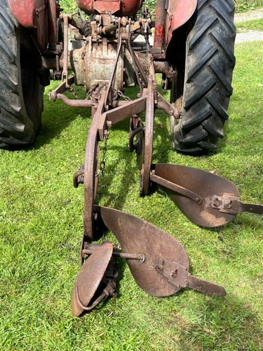 MF 2 furrow plough - Image 3