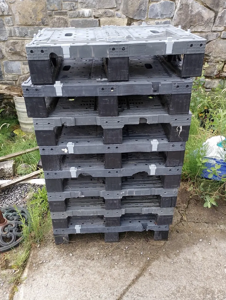 Plastic euro pallets 800mm x 600mm - Image 1