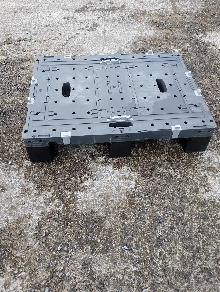 Plastic euro pallets 800mm x 600mm - Image 2