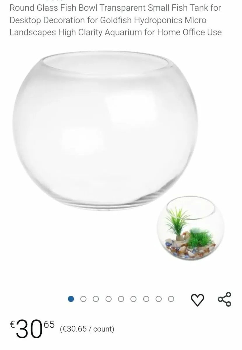 Universal Large bowl fish tank with accessories - Image 2