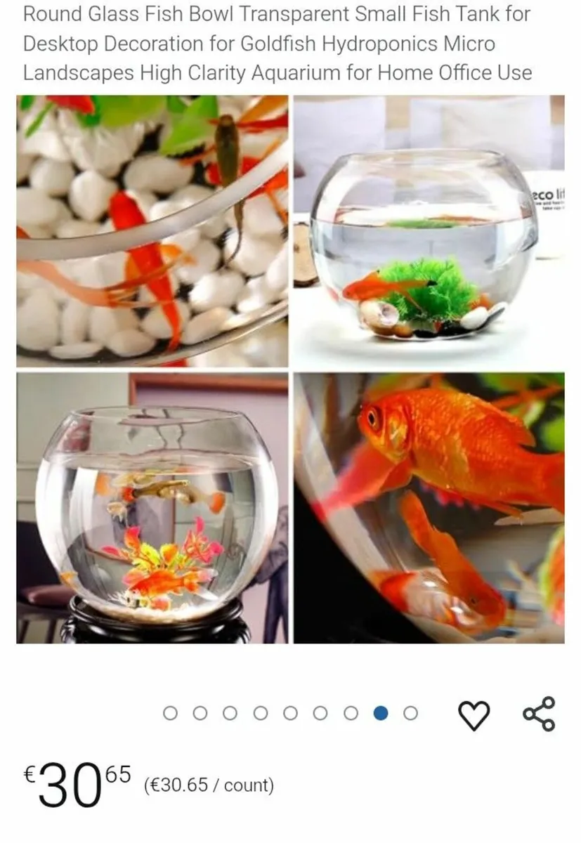 Universal Large bowl fish tank with accessories - Image 3