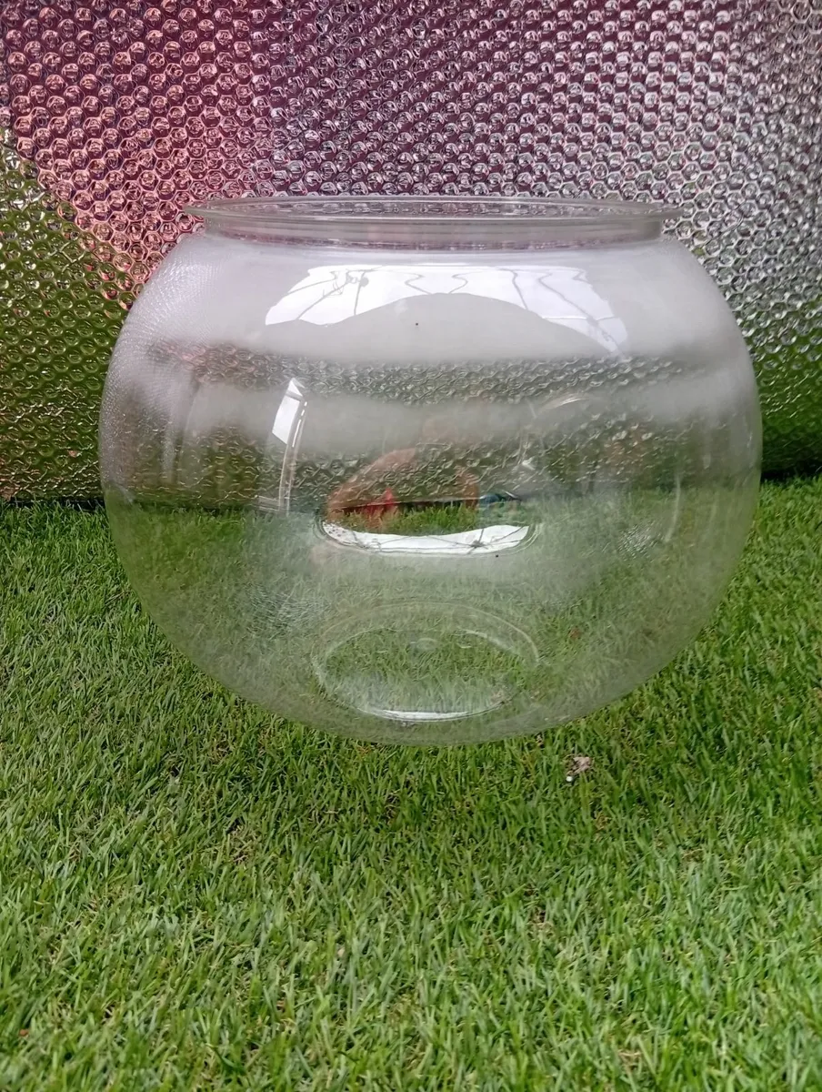 Universal Large bowl fish tank with accessories - Image 4
