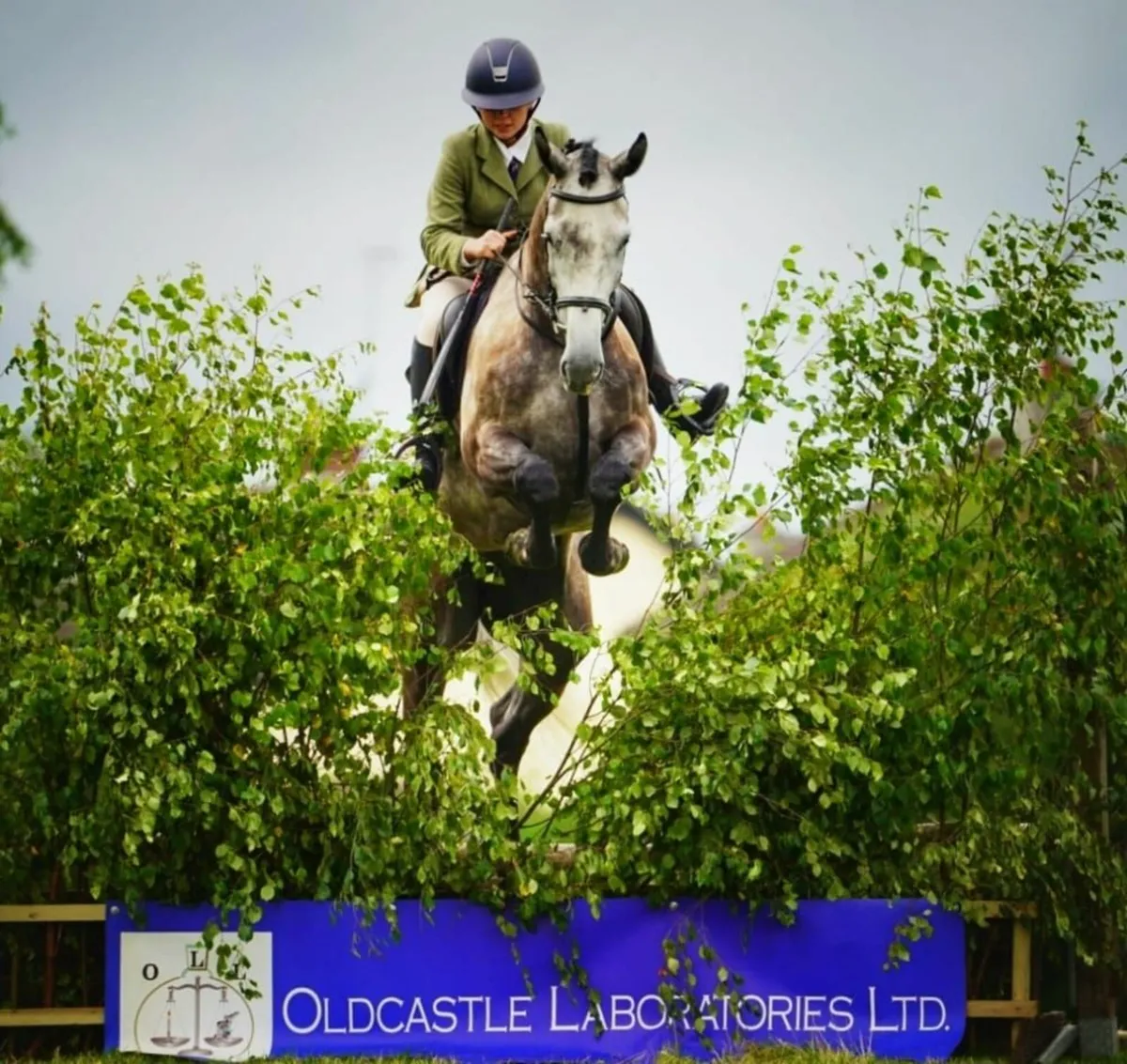 Oldcastle Agricultural Show 2025 - Image 1
