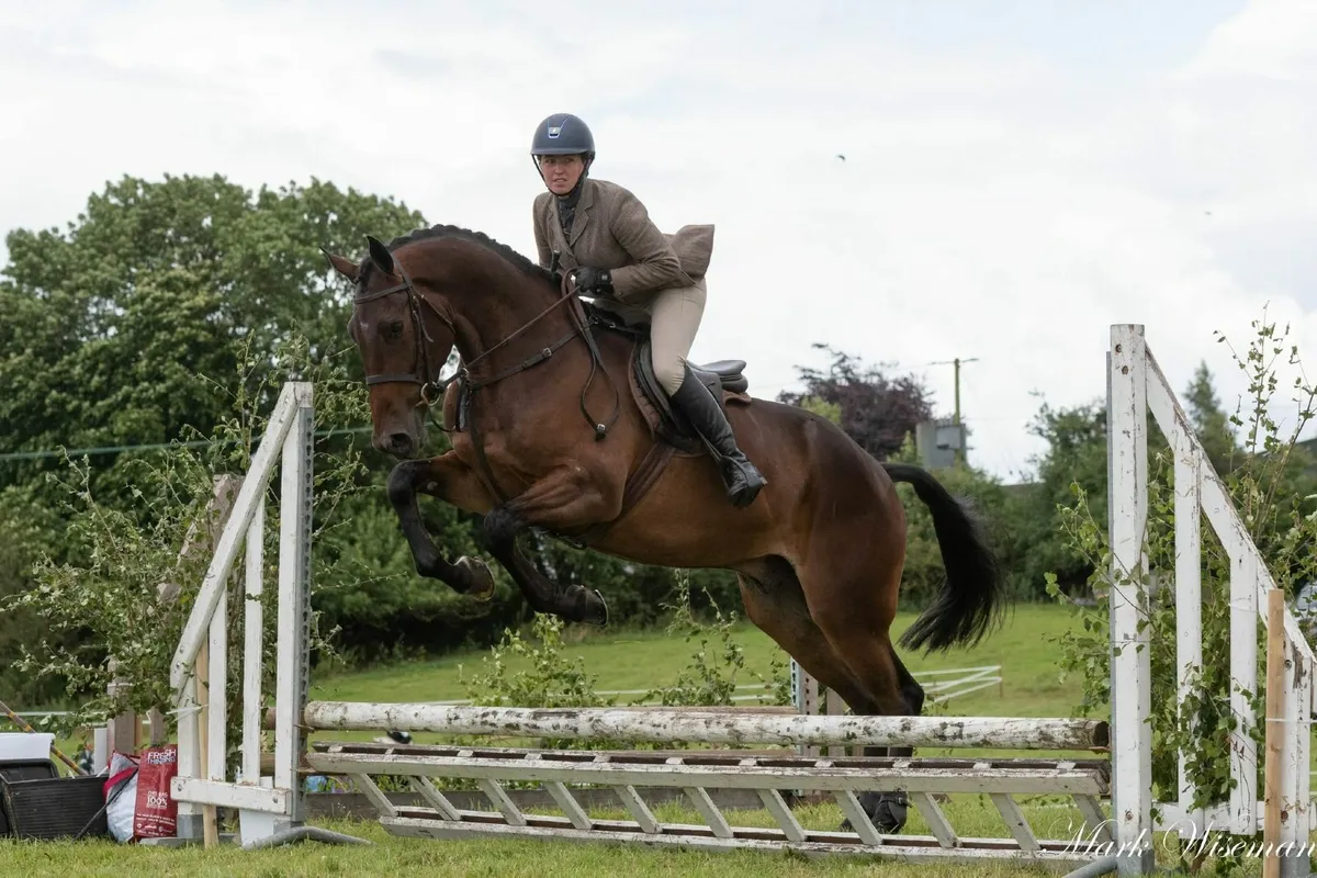 Oldcastle Agricultural Show 2025 - Image 2