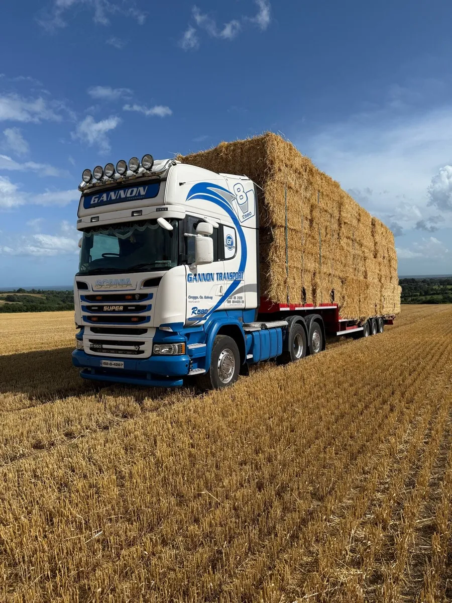 Barley straw 8x4x3 - Image 2