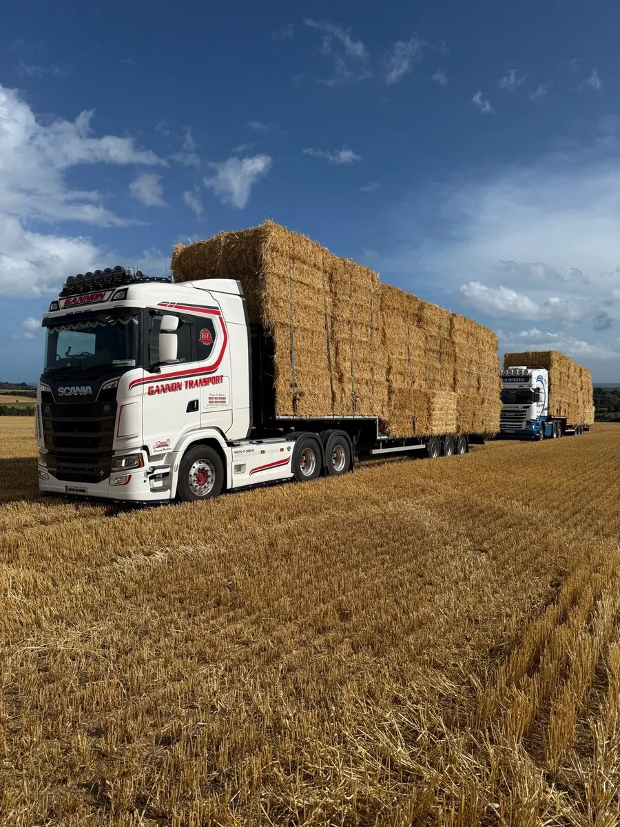 Barley straw 8x4x3 - Image 3