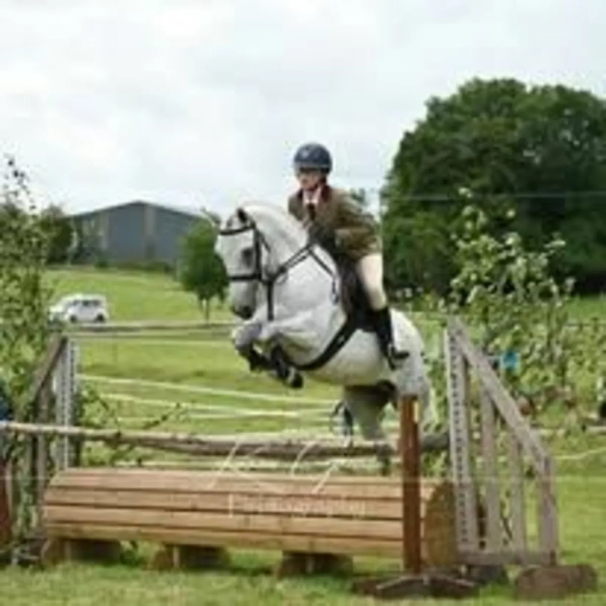 Oldcastle Agricultural Show 2025 - Image 4