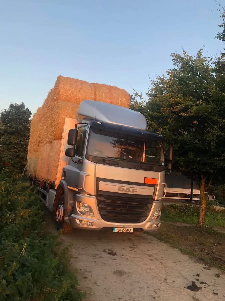 Hay and winter barley straw delivered for sale - Image 2
